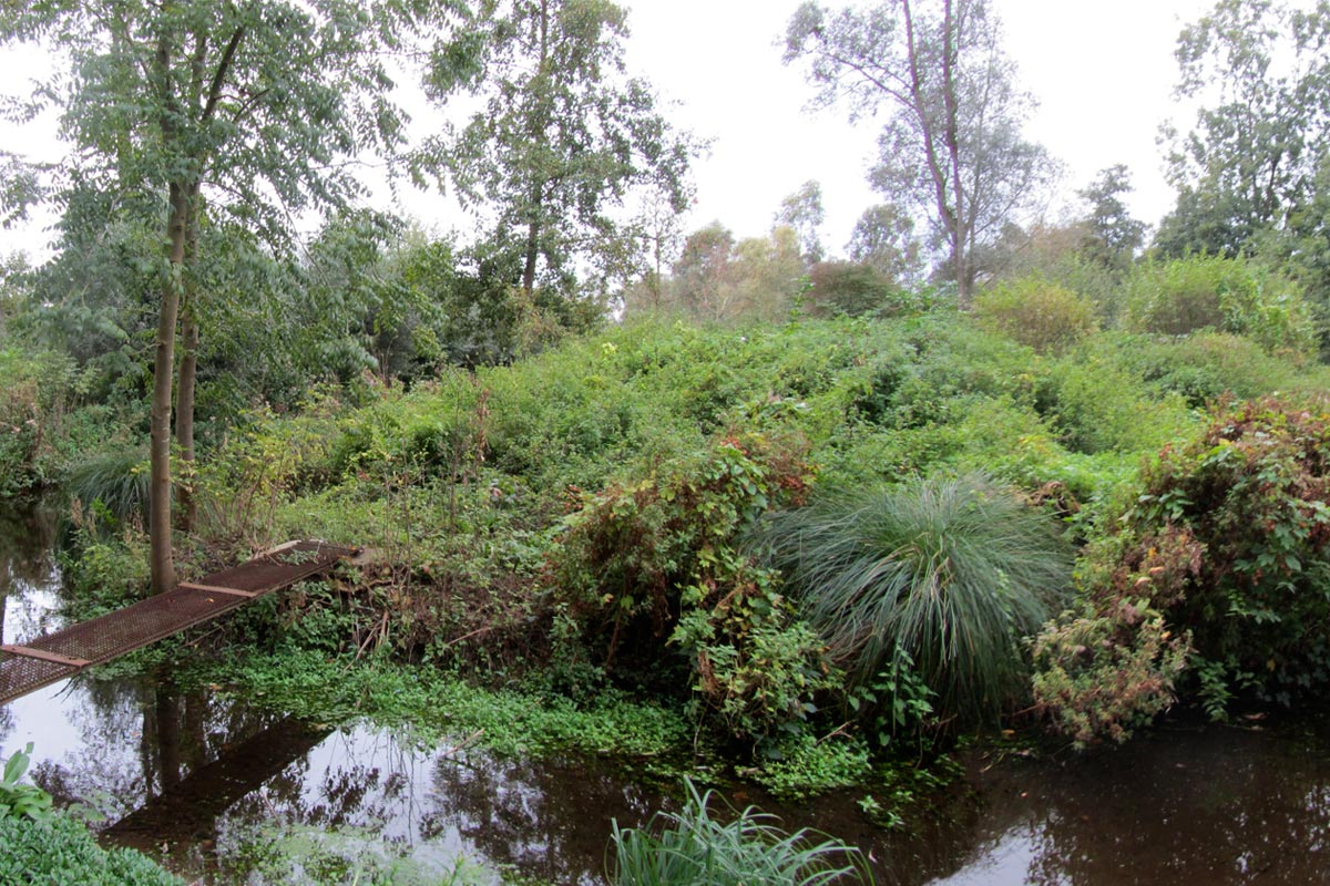 Sensomoto-Ile-eel-14