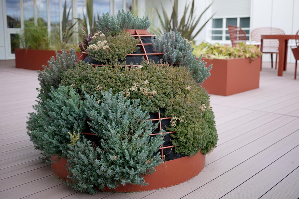 Sensomoto-Jardins-therapeutiques-07