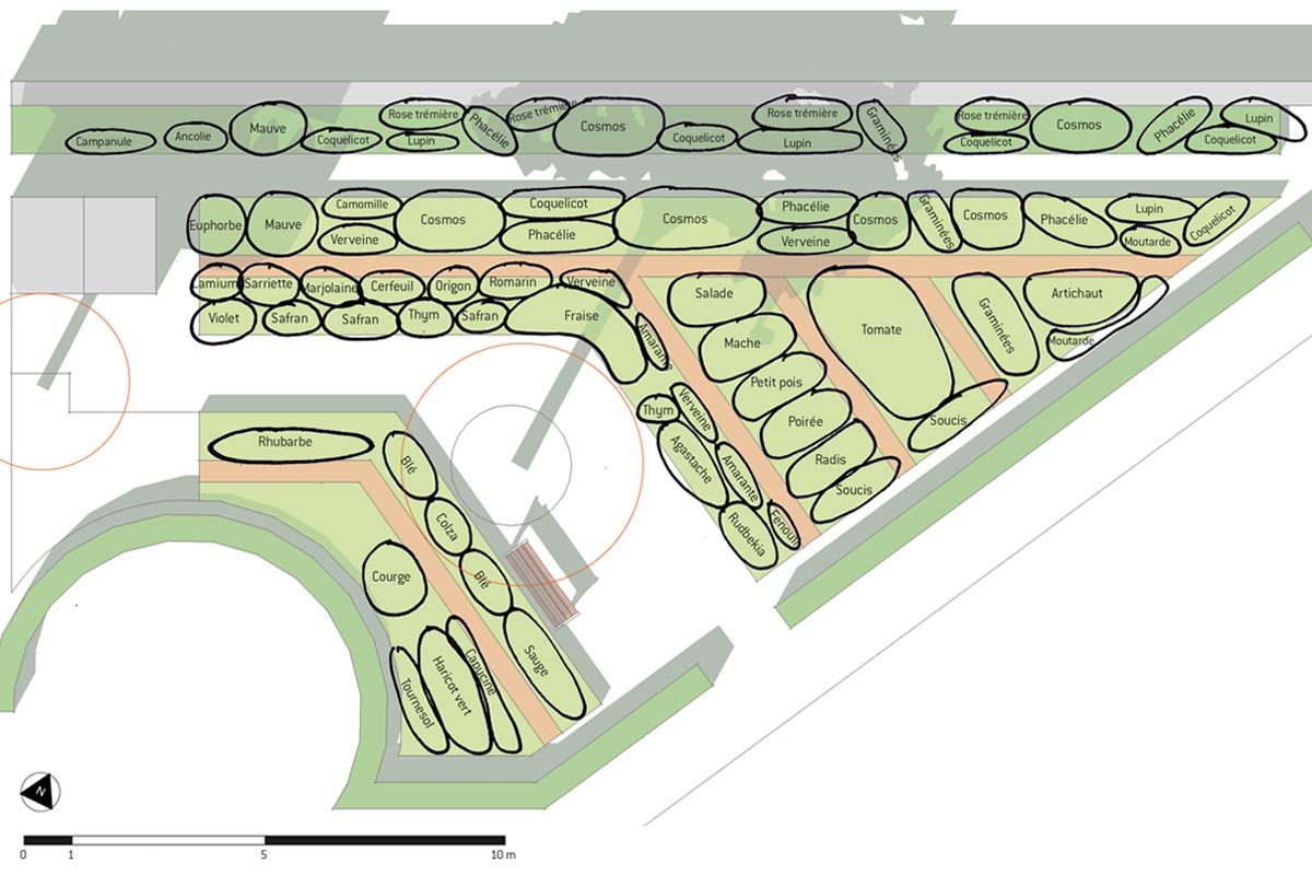 Sensomoto-Jardin-partage-croulebarbe-21