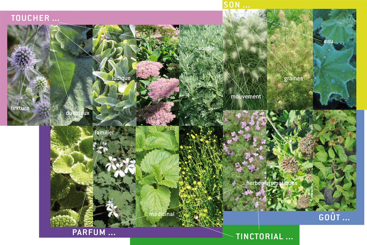 Sensomoto-Jardin-partage-croulebarbe-22