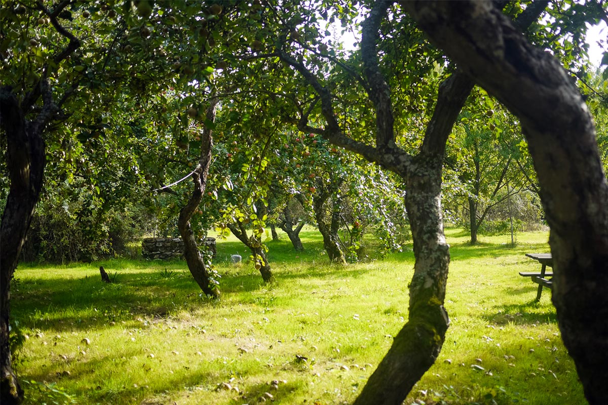 Sensomoto-Les-Fruits-du-Voisin-01