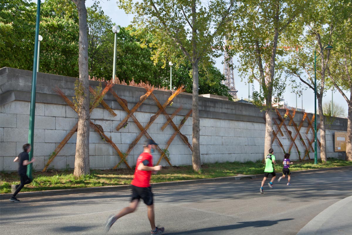 Nid végétal sur les Berges de Seine | Paris