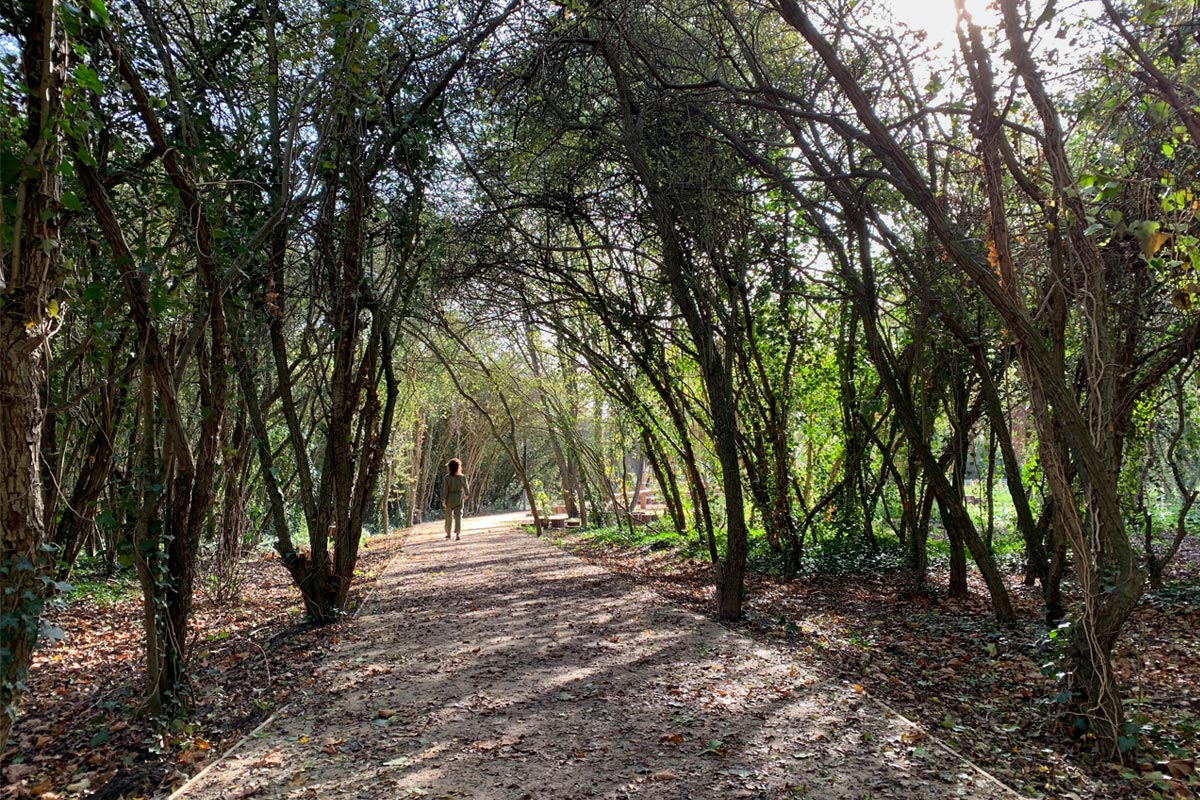Sensomoto-Eragny-sur-Oise-Parc-ecologique-08